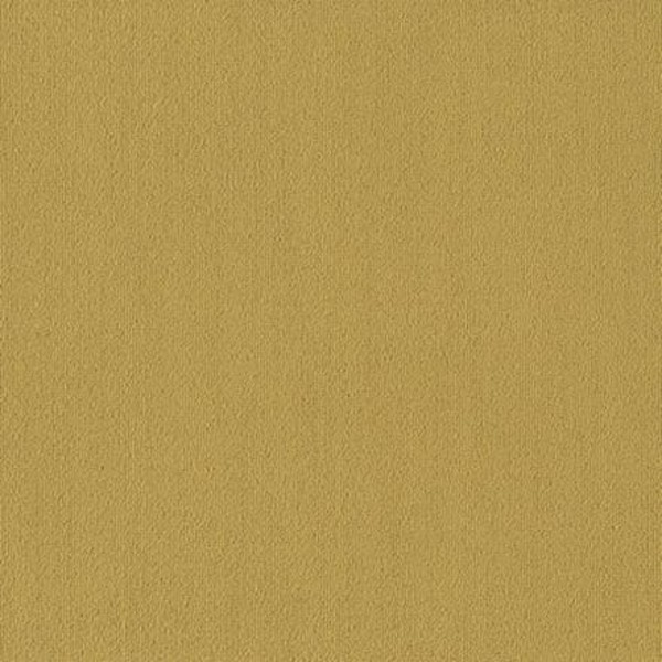 Color Accents BL Ochre